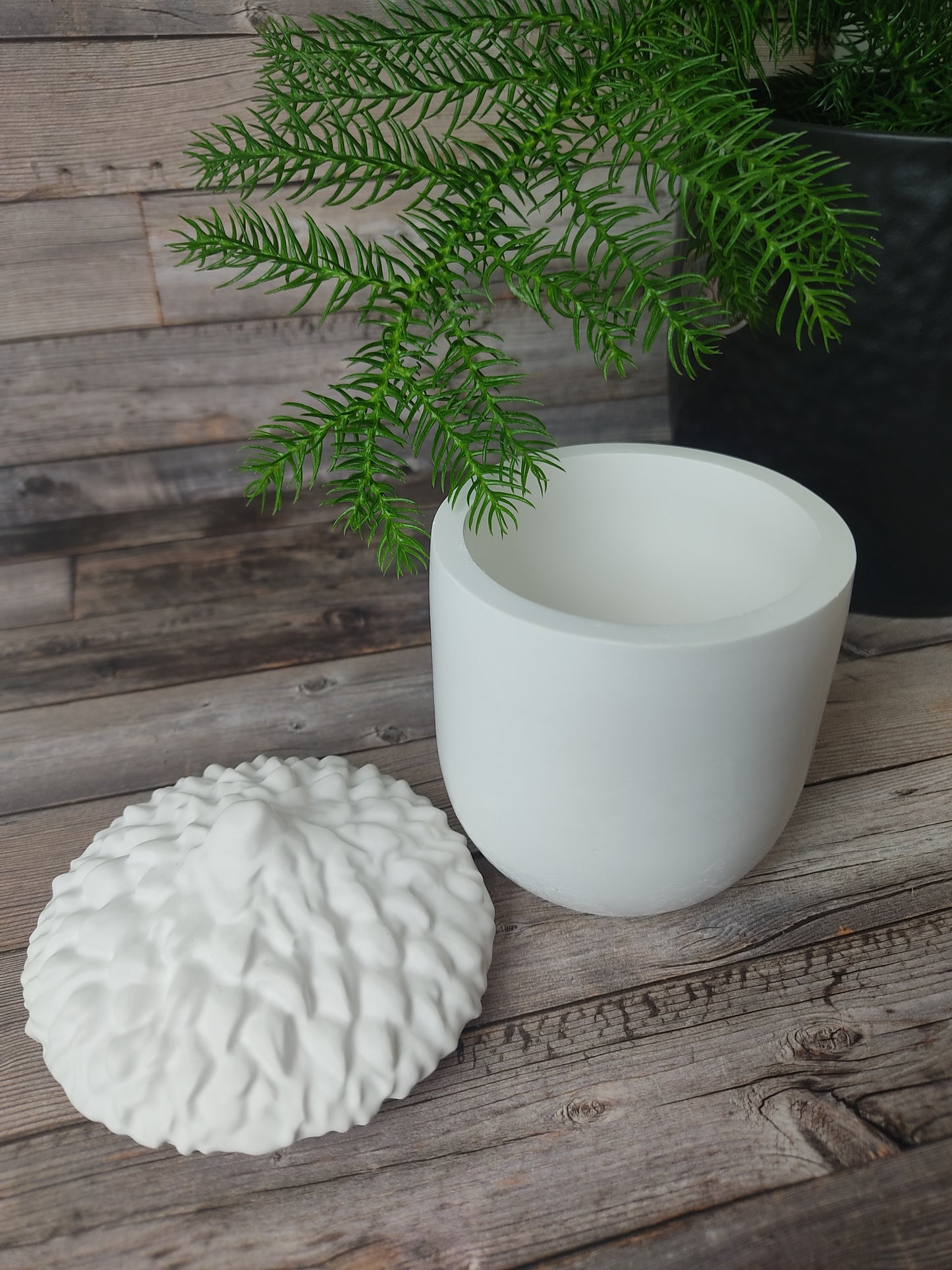 Aufbewahrungs Schale